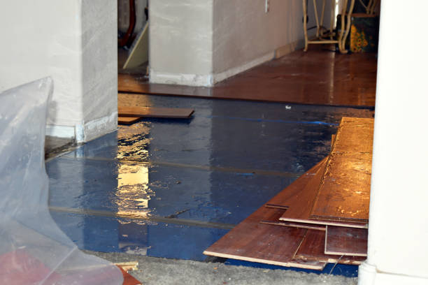 Professional Burst Pipe Cleanup technician working in Palmdale, PA
